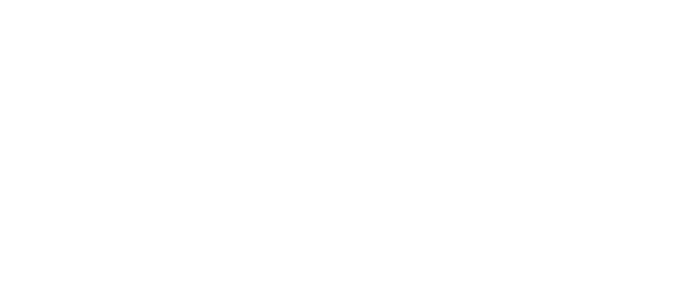 INDEX Logo
